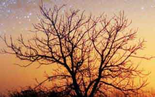 看得人发麻：新91视频一下把旧帖也带火了，站内搜索里那段内容像一把把旧账翻到台面上