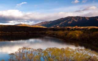 网红情绪释放：91网在线观看意外爆发，揭示幕后真相